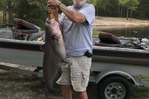 Angler with a larg blule catfish